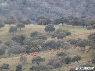 Comarca La Siberia; viajes baratos en agosto parque nacional cabañeros rio eresma